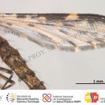 cvr-esp-all
