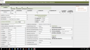 Interfaz del Registro en la Base de Datos