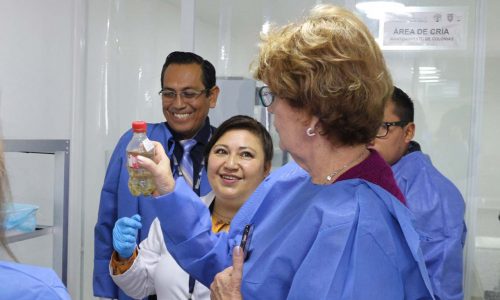 NOT20190302 NOT20190302