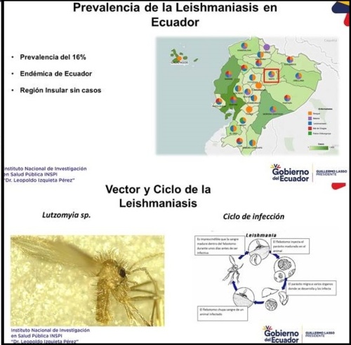 Noticia - 4 Noticia - 4