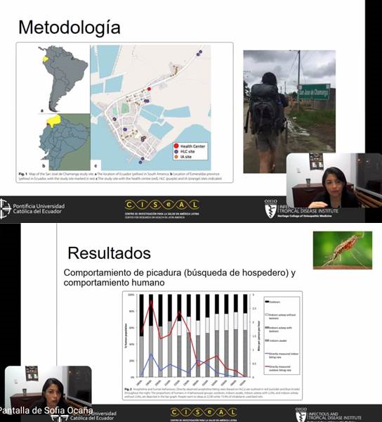 Noticia - edit Noticia - edit